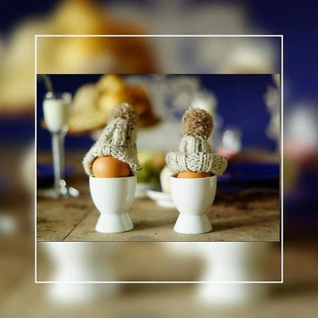 Apartmán Slapen Op 77 Nieuwe-Niedorp Exteriér fotografie